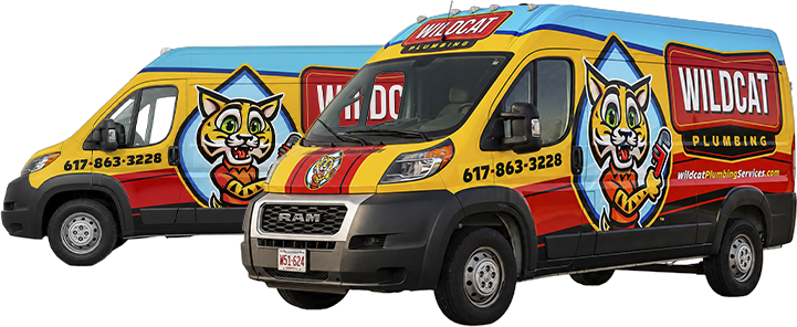 Wildcat Plumbing vans